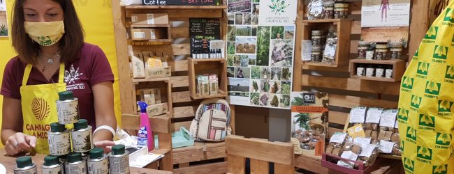 Canapa, Coldiretti Campania: giovani lanciano il “canffè”, giungla norme e controlli frena opportunità per agricoltori