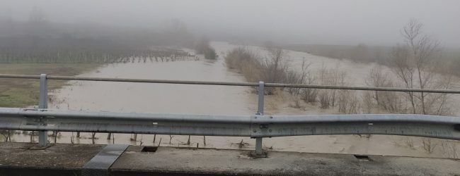 Tregua dal maltempo, oggi si contano i danni. Cane muore sotto al fango
