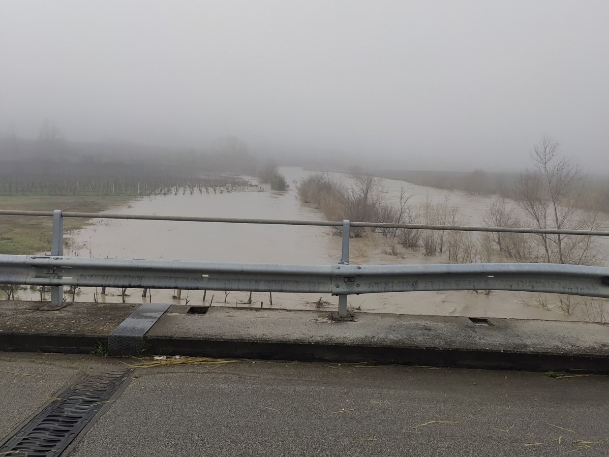 Tregua dal maltempo, oggi si contano i danni. Cane muore sotto al fango