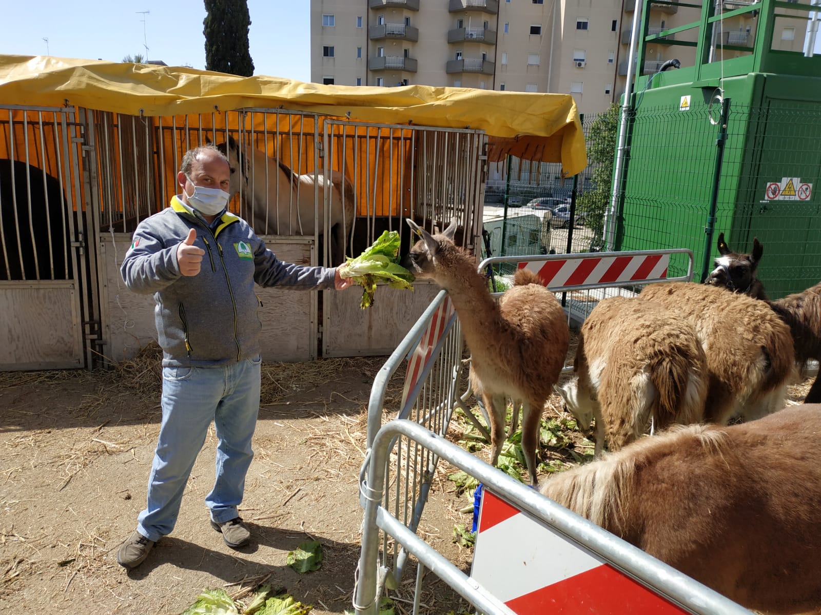 Covid, Coldiretti: circhi in piazza, sos per 2mila tigri, zebre e giraffe