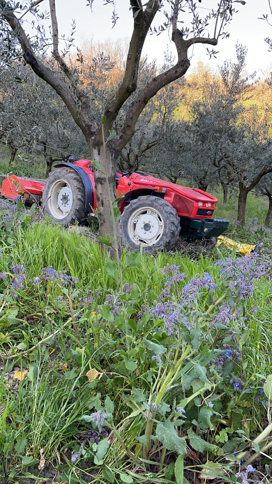Casalduni, 75enne muore schiacciato sotto al suo trattore