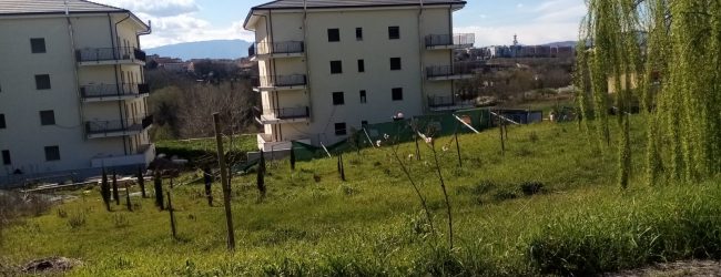 Benevento|Alloggi Capodimonte, insorge il Sunia: ‘ancora nessuna consegna’