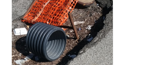 Pista ciclopedonale a Pantano, una passeggiata ‘nella incuria’