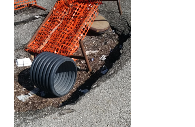 Pista ciclopedonale a Pantano, una passeggiata ‘nella incuria’