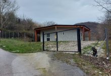 Attivate le attivita’ del canile comunale di Morcone