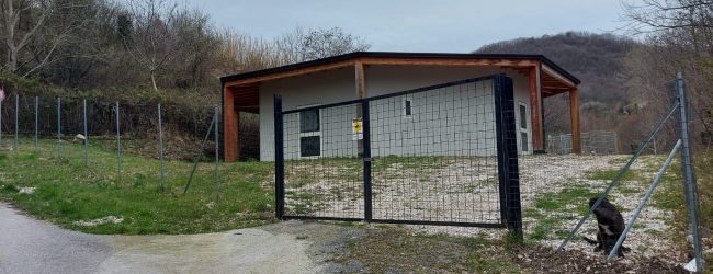Attivate le attivita’ del canile comunale di Morcone