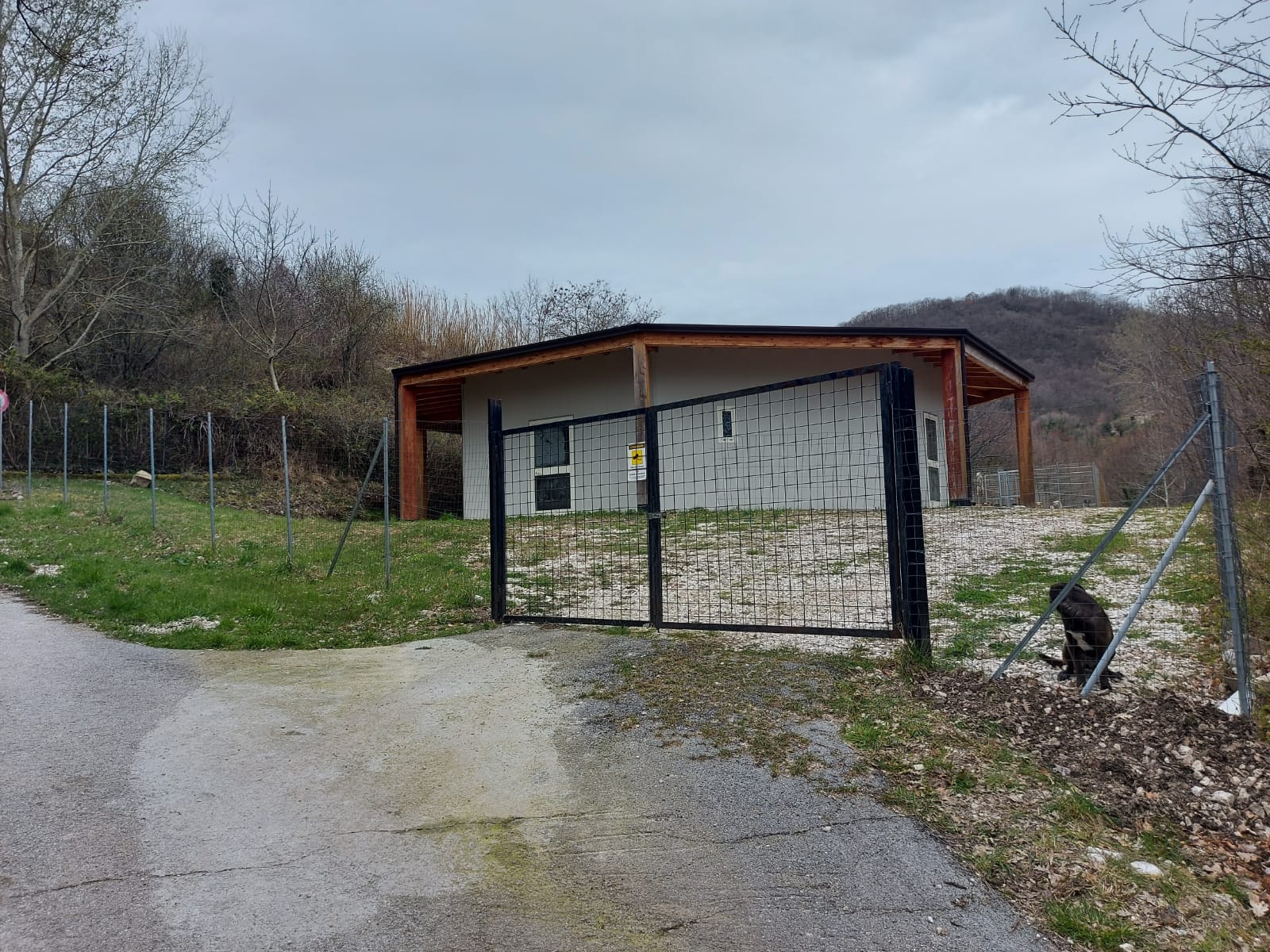 Attivate le attivita’ del canile comunale di Morcone