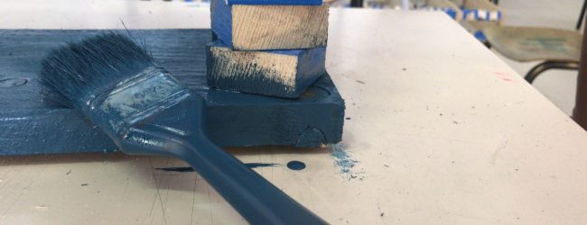 Disability Friendly, librerie blu colorano la città