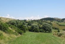 Benevento|Concorso fotografico Ordine dei Dottori Agronomi e dei Dottori Forestali della Provincia