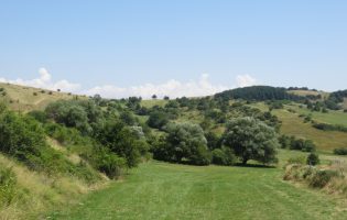 Giornata Mondiale dell’Ambiente: Rotondi: “Solo chi custodisce la terra difende il futuro del Sannio e del Matese”