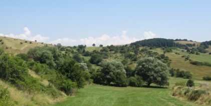 Giornata Mondiale dell’Ambiente: Rotondi: “Solo chi custodisce la terra difende il futuro del Sannio e del Matese”