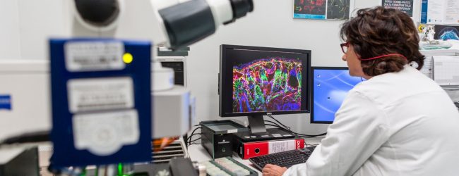 Telese Terme| Polineuropatia diabetica: una ricerca dell’IRCCS Maugeri sulla copertina di Pain. I neurologi dell’Istituto hanno osservato per la prima volta sull’uomo l’aumento di fibre nervose associate al dolore