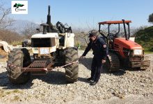 Frasso Telesino| Attivita’ di taglio boschivo, operazione dei CC Forestali