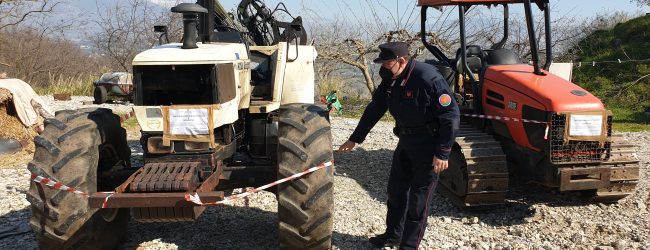 Frasso Telesino| Attivita’ di taglio boschivo, operazione dei CC Forestali