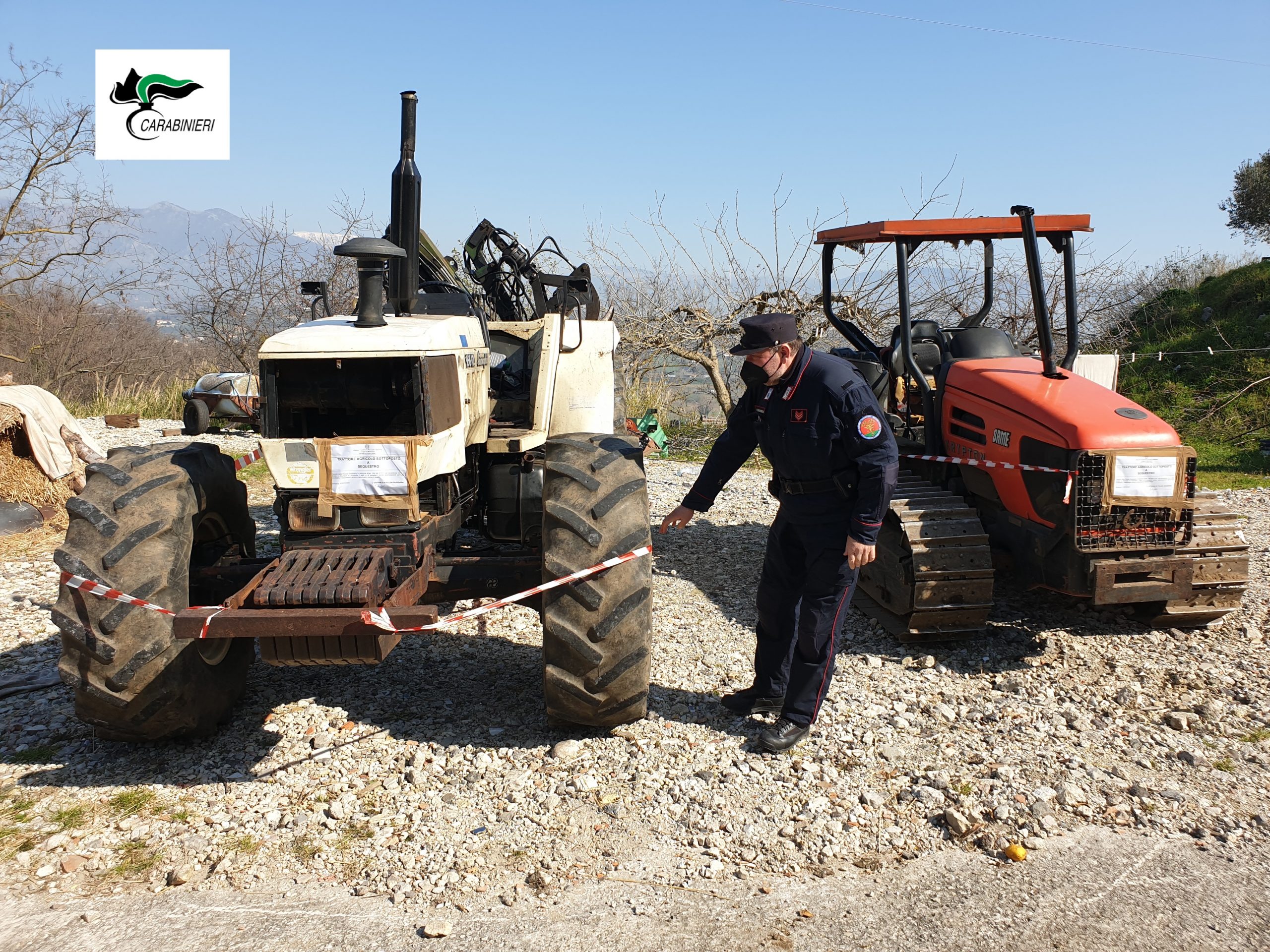 Frasso Telesino| Attivita’ di taglio boschivo, operazione dei CC Forestali