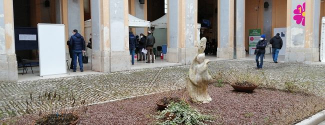 Unisanni Cultura| Dare vita ai propri sogni: che impresa! Incontro con l’imprenditrice Marina Salamon