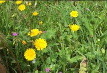 Reino, in bici per tour naturalistico