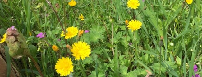 Reino, in bici per tour naturalistico
