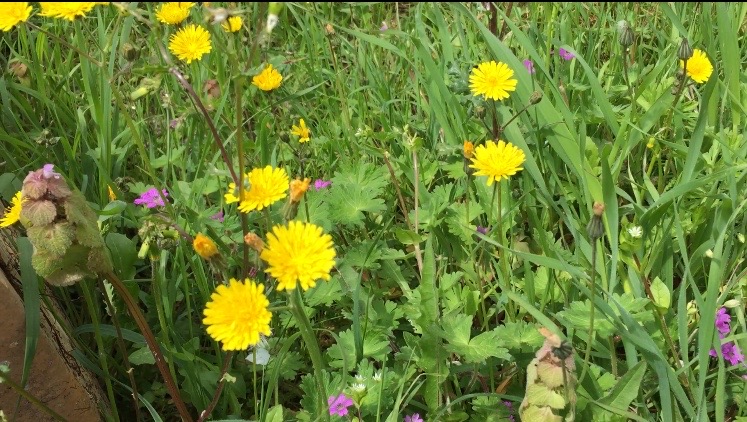Reino, in bici per tour naturalistico