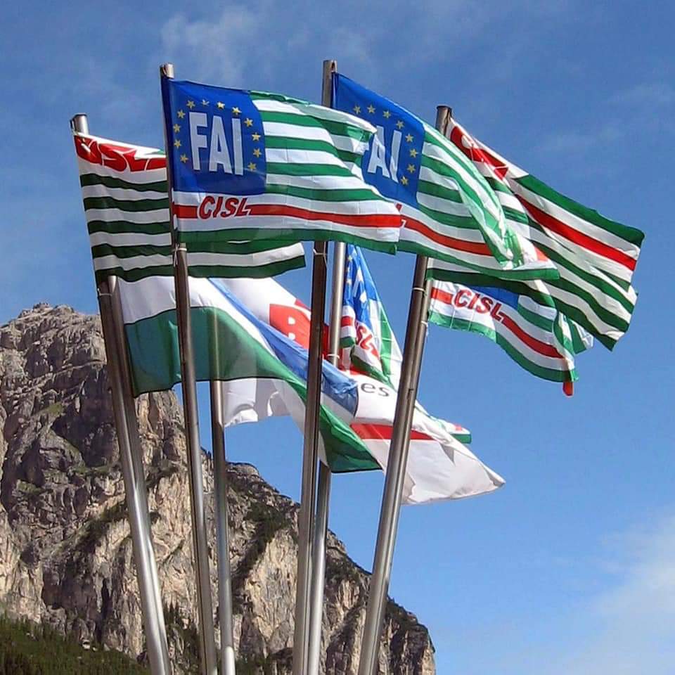 Agricoltura, Rota (FAI CISL): “Con bonus sanata ingiustizia, ora avanti con il confronto per sostenere i lavoratori”