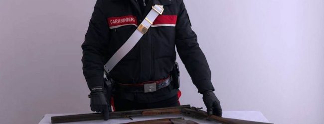 San Giorgio La Molara| Uccide una cavalla e ferisce altri sette animali, denunciato 59enne. Nei guai anche il fratello 61enne