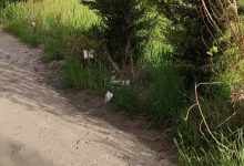 Giglio(Benevento Centrale): lungocalore bomba ecologica/FOTO