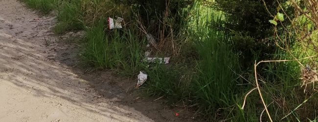 Giglio(Benevento Centrale): lungocalore bomba ecologica/FOTO