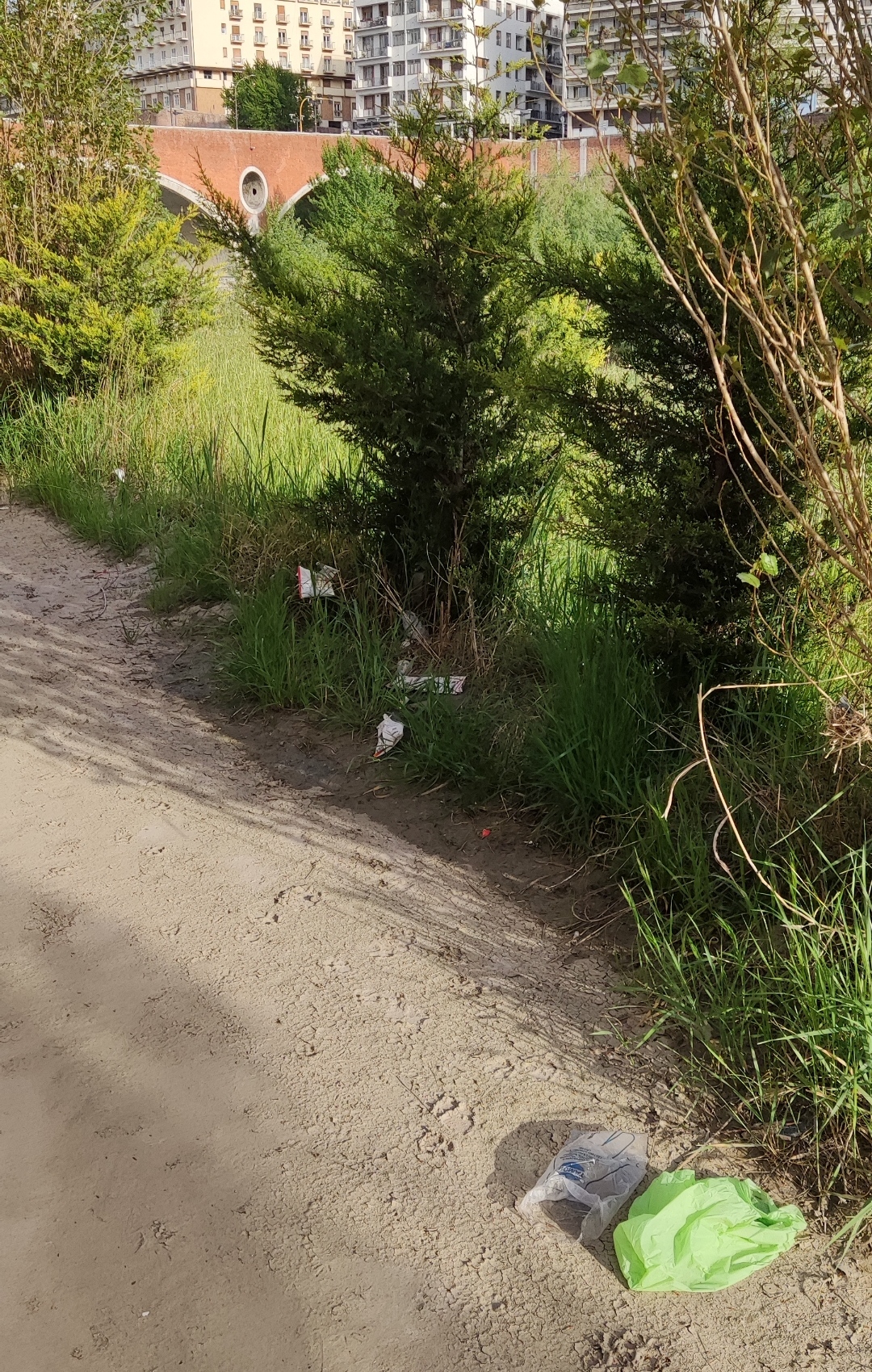 Giglio(Benevento Centrale): lungocalore bomba ecologica/FOTO