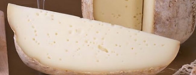 Coldiretti: festa per il re dei formaggi napoletani, il Provolone DOP