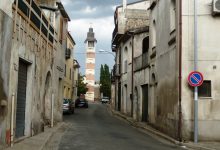 Randagismo, appello del sindaco di Puglianello: “Branchi sono pericolo per i cittadini, sinergia con l’Asl e tecnici sul posto”