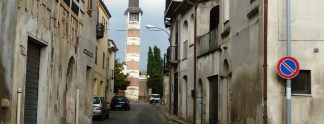 Randagismo, appello del sindaco di Puglianello: “Branchi sono pericolo per i cittadini, sinergia con l’Asl e tecnici sul posto”