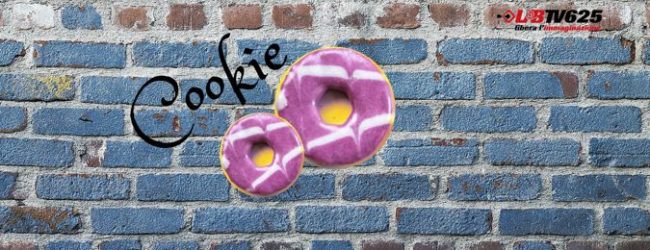 Cosa sono davvero i Cookie? A cosa servono per le aziende?