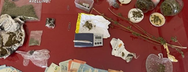 Serino| La droga nascosta non sfugge al fiuto di Olli e Gero, ai domiciliari 19enne e 50enne