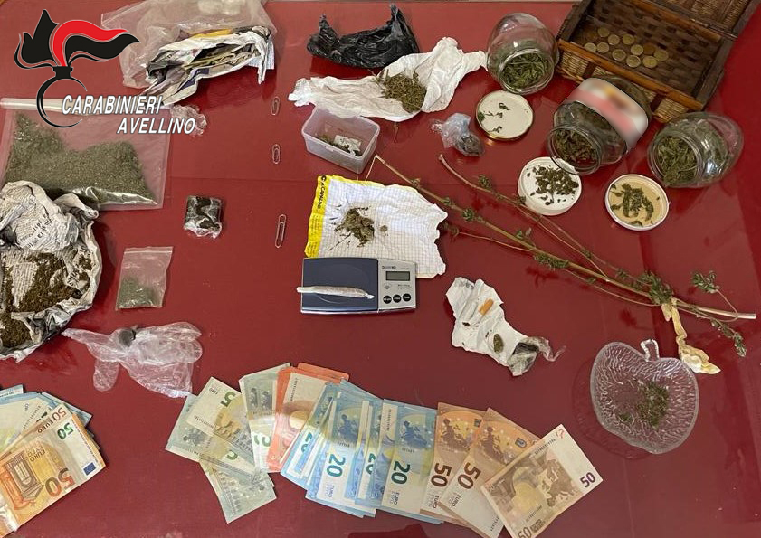 Serino| La droga nascosta non sfugge al fiuto di Olli e Gero, ai domiciliari 19enne e 50enne