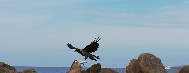 Italia verso il giallo totale: riaperture e turismo verso la normalità