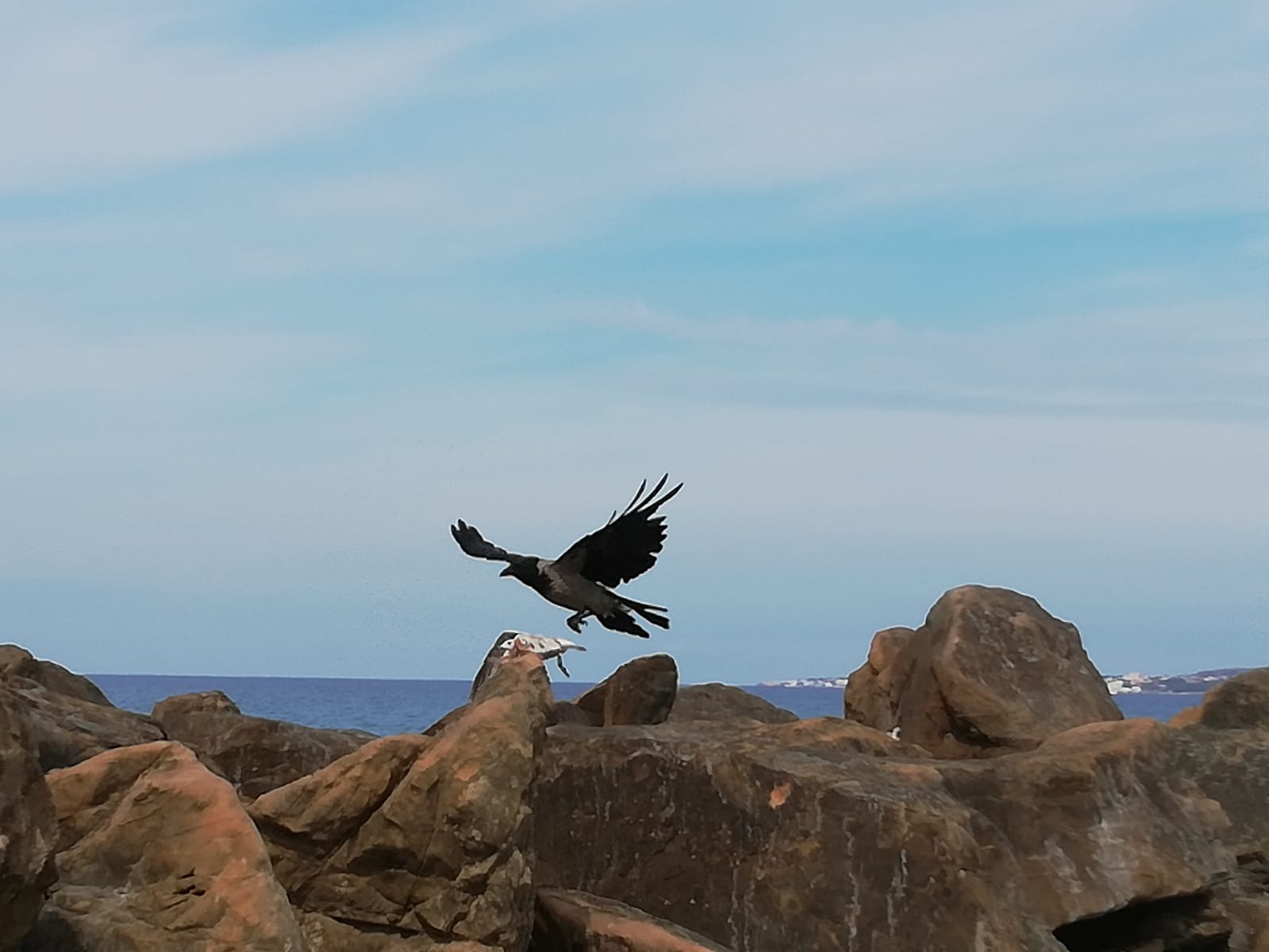 Italia verso il giallo totale: riaperture e turismo verso la normalità