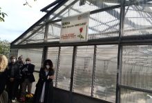 Benevento|Istituto Agrario ‘Vetrone’, una serra per il prof. Mercurio