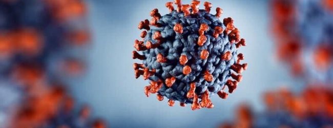 Covid, dati settimanali: nel Sannio meno di 100 casi in 7 giorni.Attesa per le vaccinazioni ai maturandi