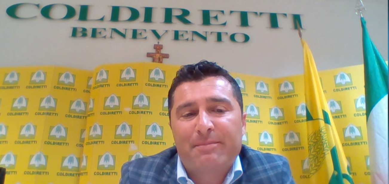 Vaccini nelle cantine sannite, Dell’Orto (Coldiretti BN): “Cosi rilanciamo il settore”