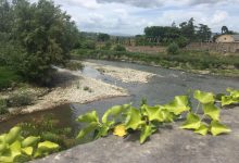 Tornano le giornate FAI di primavera