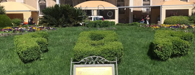 All’ospedale Fatebenefratelli di Benevento interventi di ortopedia rigenerativa mediante prelievo di cellule mesenchimali