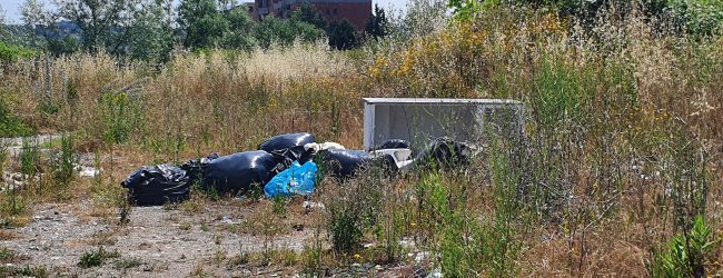 Civica: Benevento e’ una citta’ sporca, non meritiamo condizioni di savana