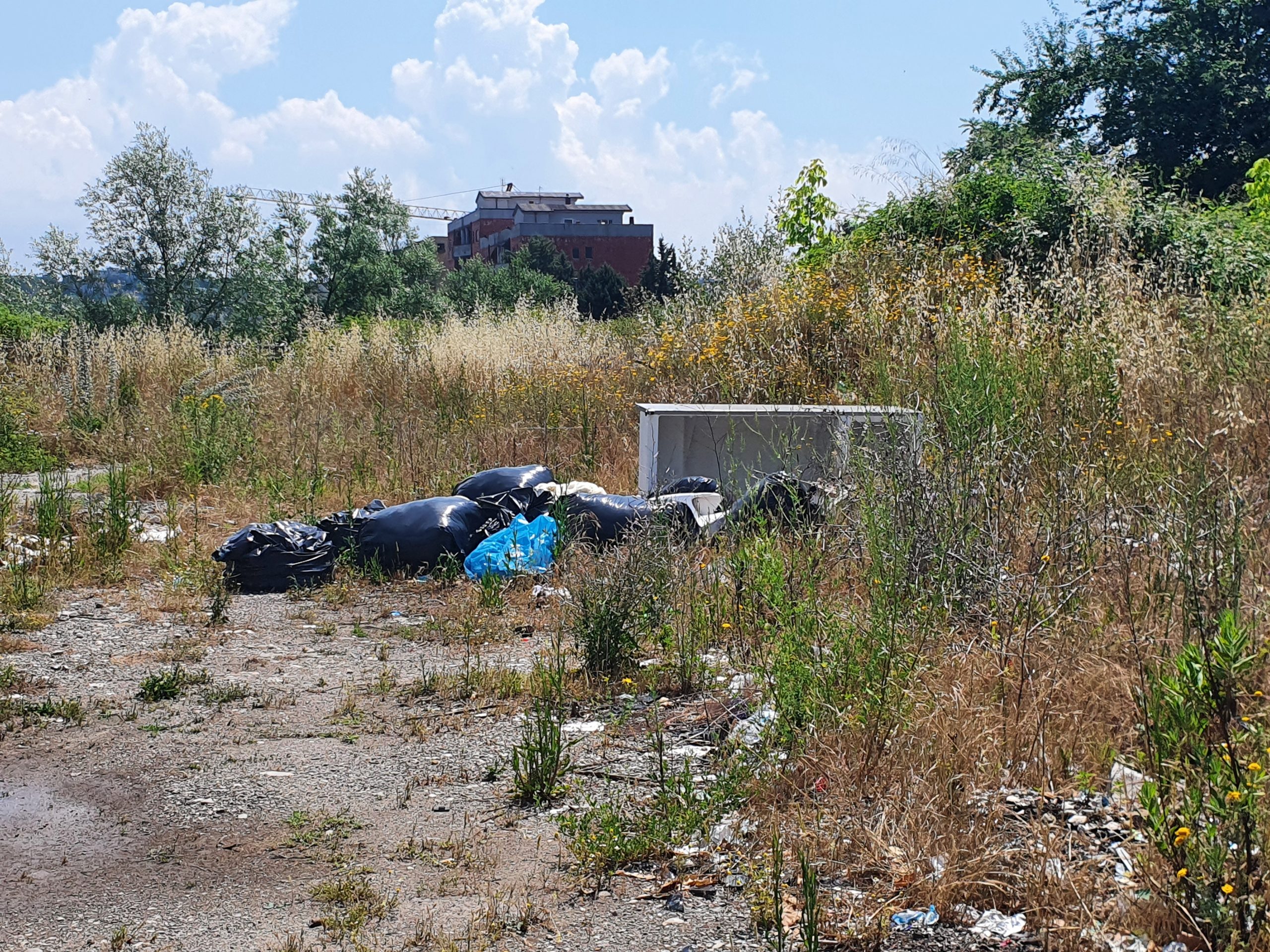 Civica: Benevento e’ una citta’ sporca, non meritiamo condizioni di savana