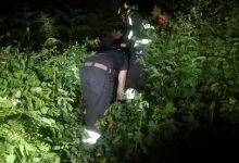 5 giovani dispersi nei boschi di Tocco Caudio, salvati dai Vigili del Fuoco