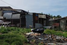 San Marco dei Cavoti|Detenevano 43 cani in precarie condizioni igienico sanitarie, denunciati marito e moglie