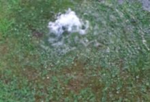 Gesesa: ennesimo atto vandalico al sistema di irrigazione dell’Arco di Traiano