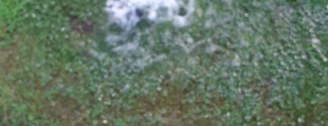 Gesesa: ennesimo atto vandalico al sistema di irrigazione dell’Arco di Traiano