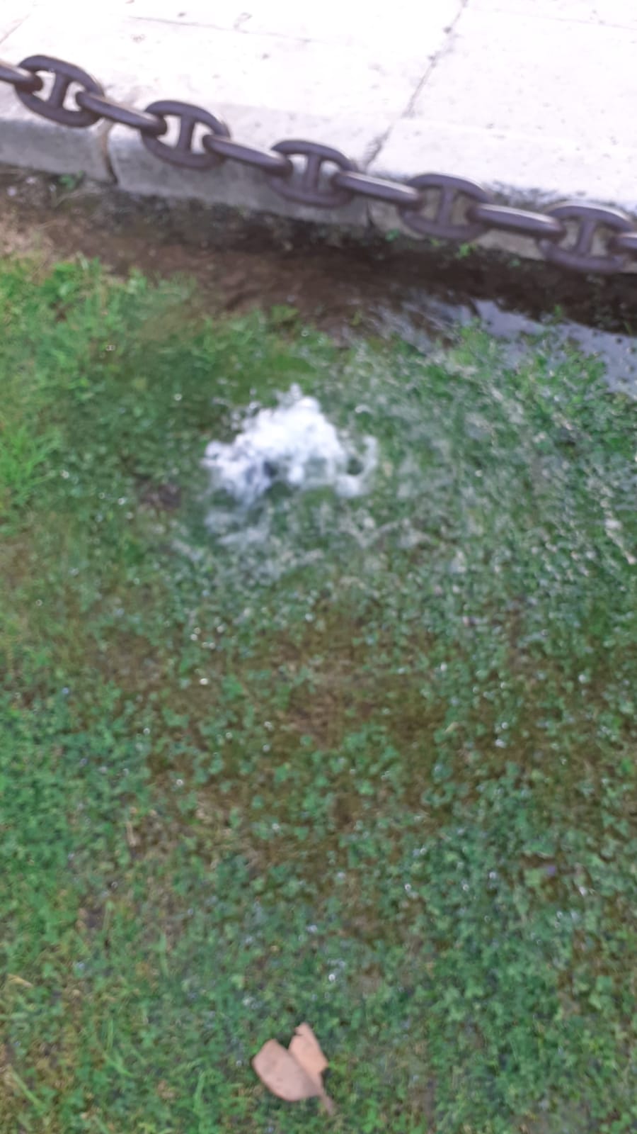 Gesesa: ennesimo atto vandalico al sistema di irrigazione dell’Arco di Traiano