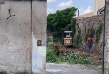 Benevento| Taglio di alberi secolari in Via de Nicastro, intervento della Polizia Municipale