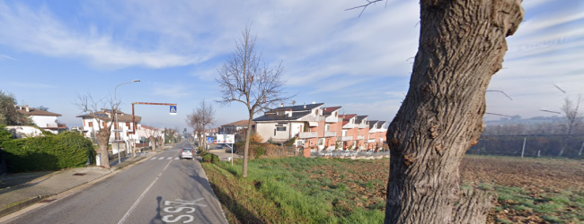 San Nicola Manfredi|In Contrada Iannassi un parco in ricordo delle vittime del Covid